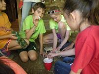 1st Summer Camp Spot at Edith L. Moore Nature Sanctuary 202//151